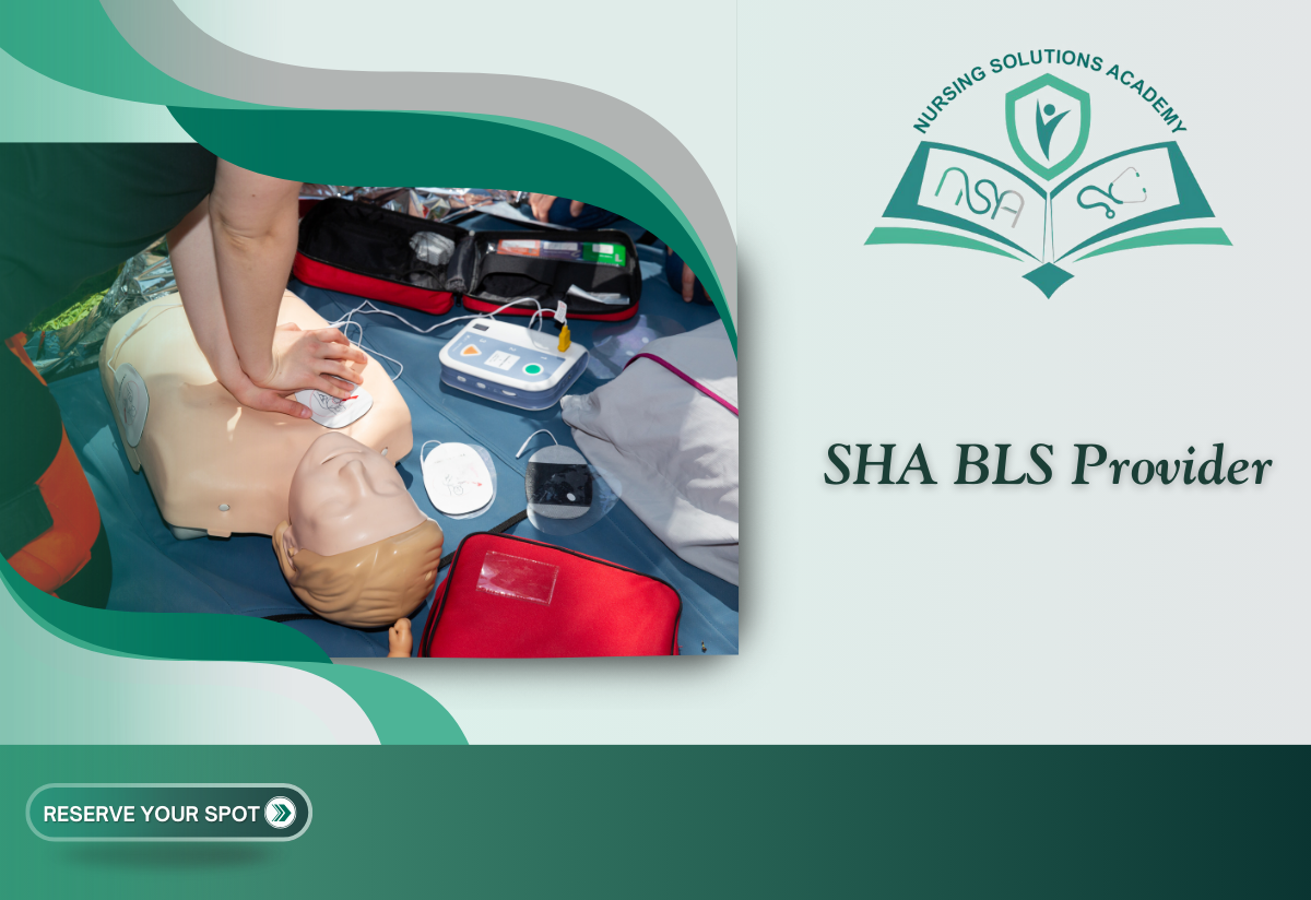 SHA BLS Provider